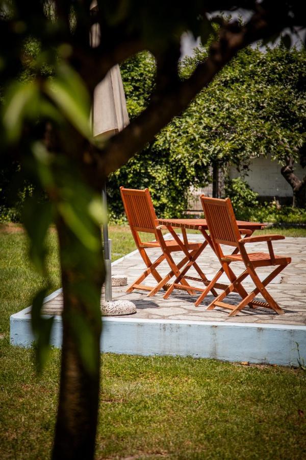 Zeusplace Poolvilla Natura Paralia Катерини Экстерьер фото